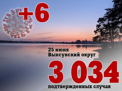 В Выксе +6, в Нижегородской области +311, в России +20 393