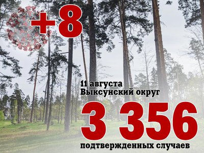 В Выксе +8, в Нижегородской области +535, в России +21 571
