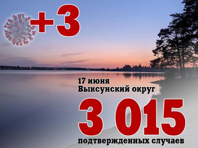В Выксе +3, в Нижегородской области +207, в России +14 057