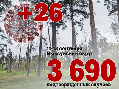 За три дня в Выксе +26, в Нижегородской области +1 263, за сутки в России +18 178