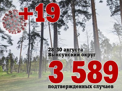 За три дня: в Выксе +19, в Нижегородской области +1 230, в России +57 103