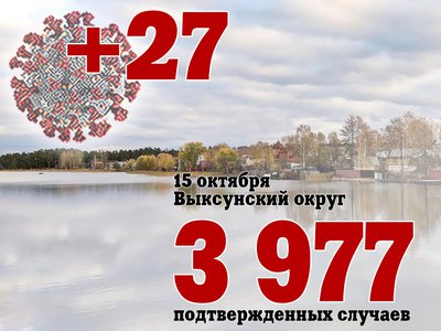 В Выксе +27, в Нижегородской области +695, в России +32 196