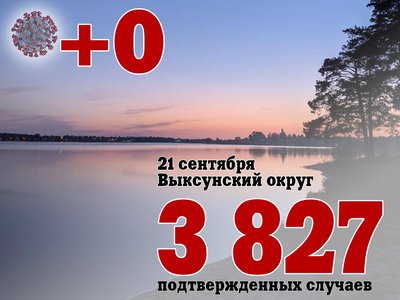 В Выксе +0, в Нижегородской области +481, в России +19 179