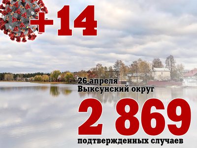 В Выксе +14, в Нижегородской области +177, в России +8 803