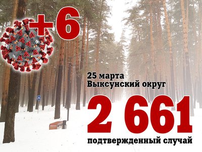 В Выксе +6, в Нижегородской области +331