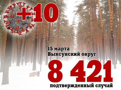 В Выксе +10, в Нижегородской области +925, в России +36 678