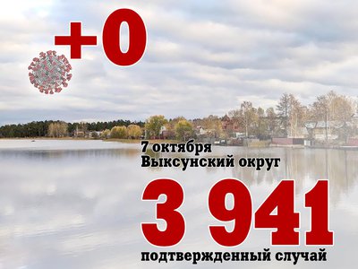 В Выксе +0, в Нижегородской области +621, в России +27 550