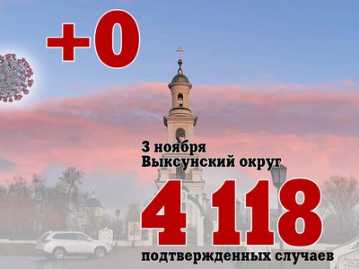 В Выксе +0, в Нижегородской области +807, в России +40 443