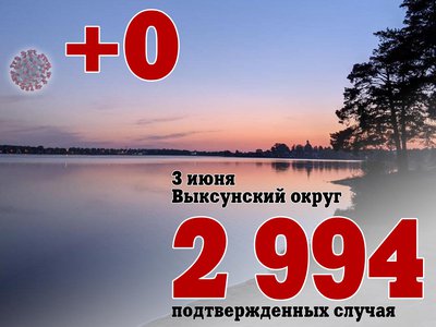 В Выксе +0, в Нижегородской области +155, в России +8 933