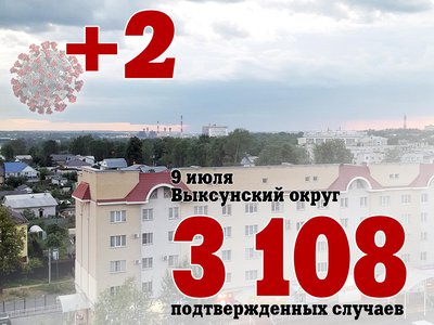 В Выксе +2, в Нижегородской области +529, в России +25 766