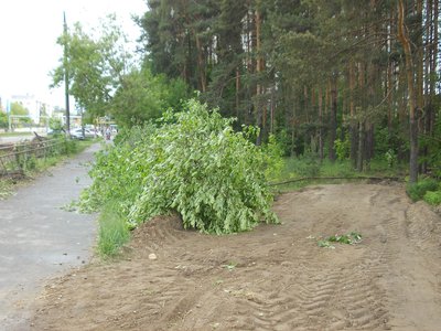Вырубка деревьев в м-оне Жуковского