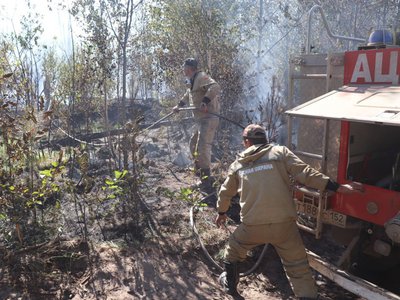 В выксунских лесах зафиксировано 12 возгораний
